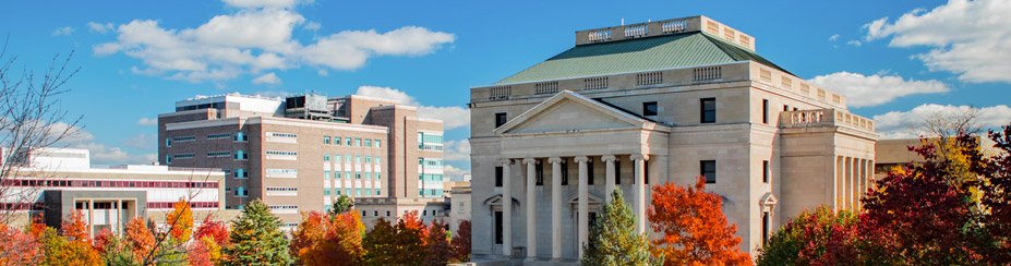 University at Buffalo Banner